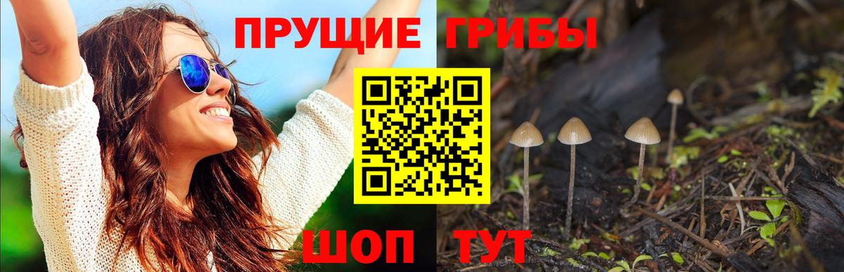 Буйнакск  Галлюциногенные грибы мицелий  Вход с VPN 