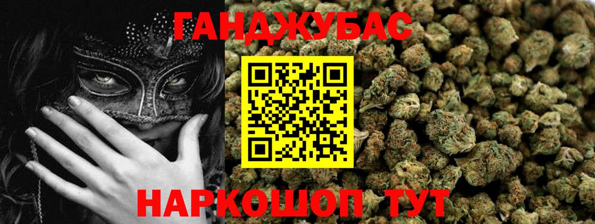 Бошки Шишки планчик Буйнакск